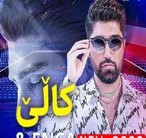 نوید زردی کالی